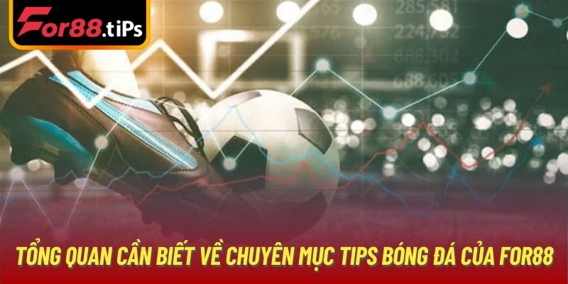 Tổng quan cần biết về chuyên mục tips bóng đá của For88